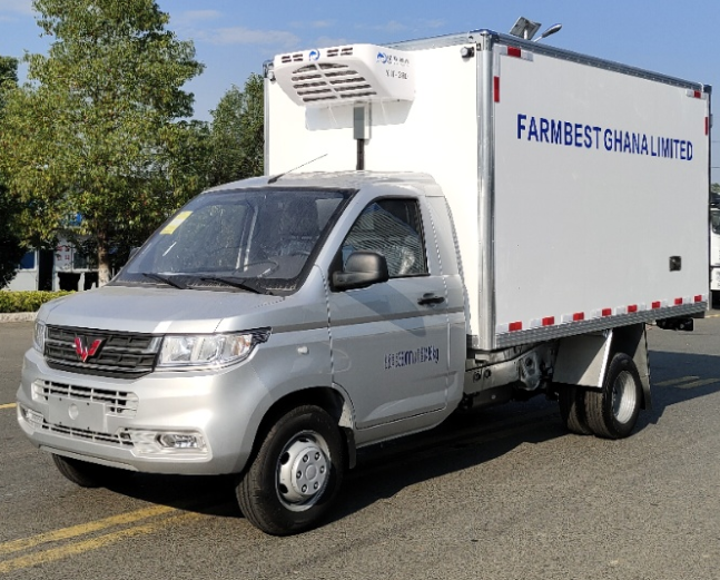 （3.3米）五菱荣光后双轮冷藏车价格